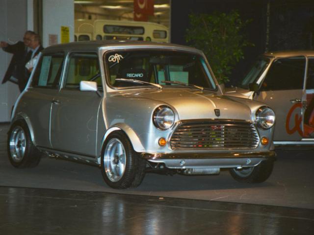 mini 25